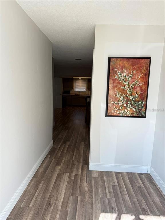 A hallway with wood-look flooring leads toward a kitchen with a framed floral painting — 1200 ABBEY CRESCENT LANE, CLEARWATER, FL