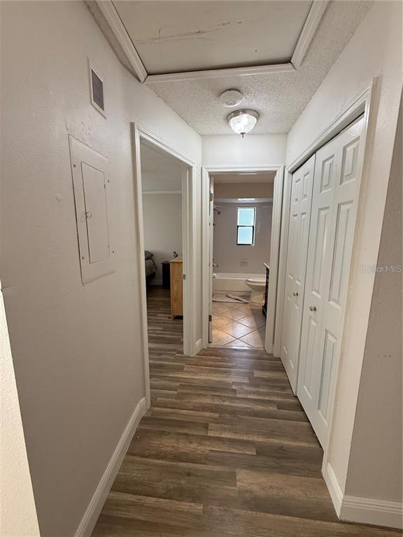 A hallway with wood-look flooring leads to a bathroom and a bedroom — 1200 ABBEY CRESCENT LANE, CLEARWATER, FL