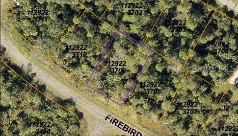 An aerial map view shows a highlighted rectangular plot of land along a dirt road — FIREBIRD ROAD, NORTH PORT, FL