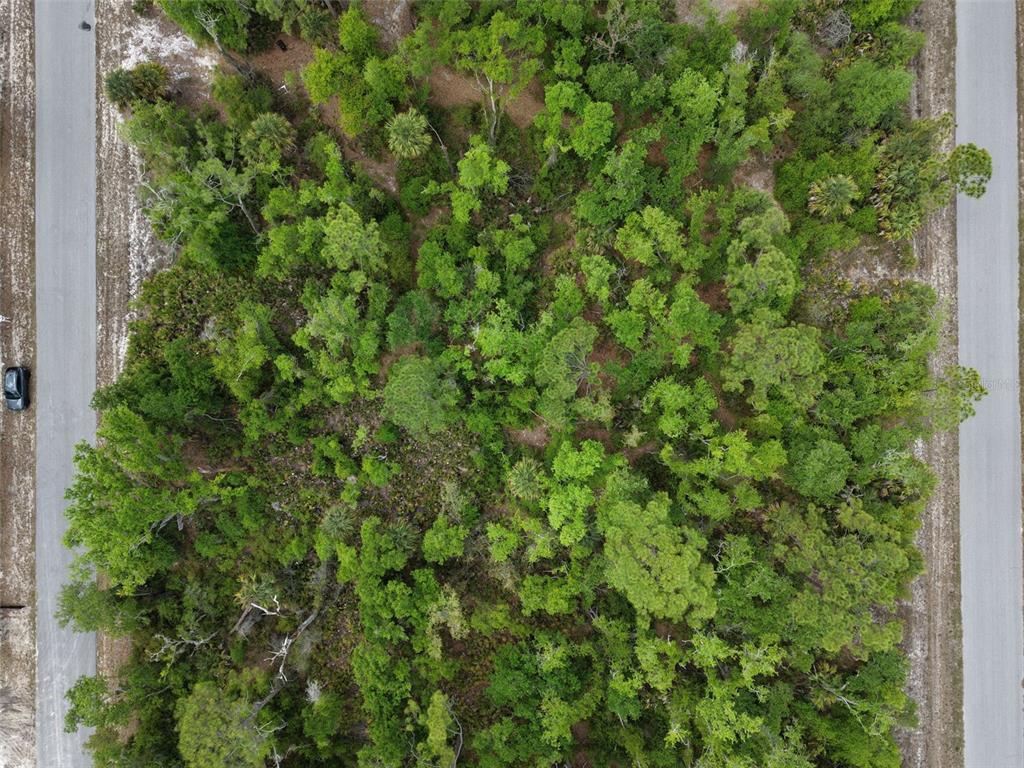 An aerial view shows a rectangular, wooded lot situated between two paved roads — 1249 CHRIS TERRACE, PORT CHARLOTTE, FL