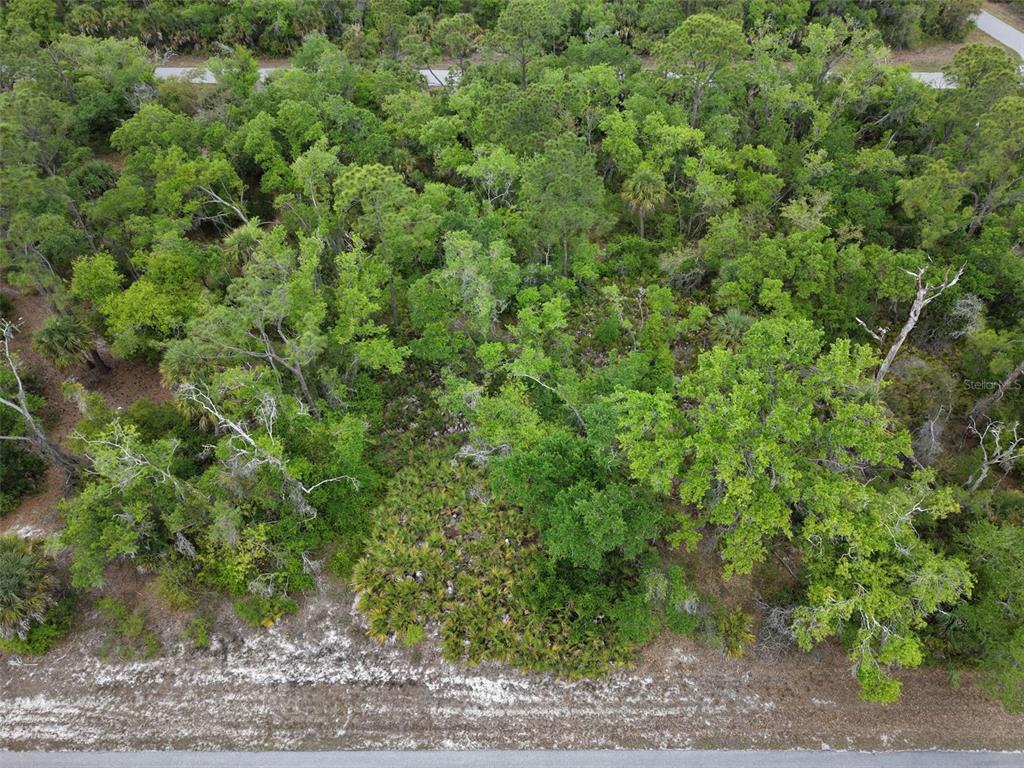An aerial view shows a wooded, undeveloped lot bordering a paved road — 1249 CHRIS TERRACE, PORT CHARLOTTE, FL