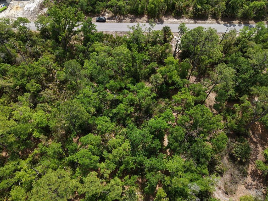 An aerial view shows a densely wooded, undeveloped lot bordering a paved road — 1249 CHRIS TERRACE, PORT CHARLOTTE, FL