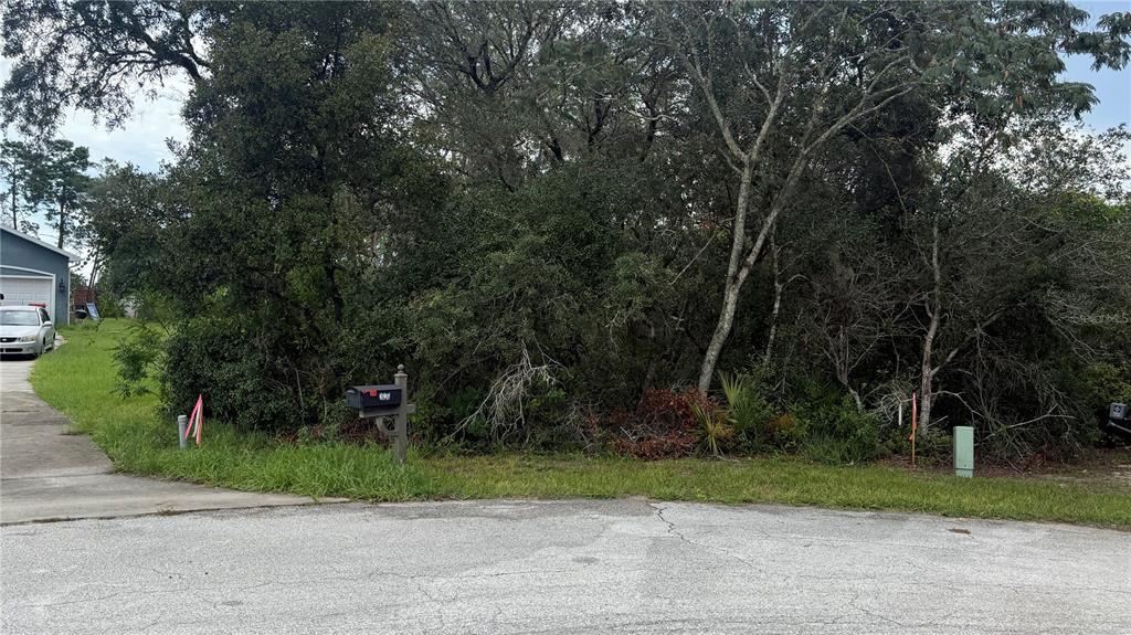 A vacant, wooded residential lot sits next to a paved driveway and a mailbox — TBD SW 39TH COURT, OCALA, FL