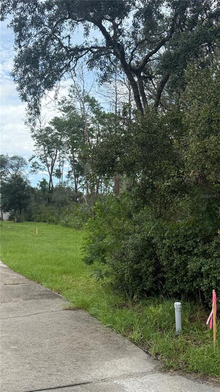 A concrete sidewalk runs alongside a grassy lot with trees and a utility pipe — TBD SW 39TH COURT, OCALA, FL