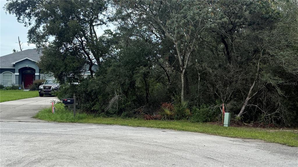 A vacant, wooded residential lot sits next to a house with a driveway and mailbox — TBD SW 39TH COURT, OCALA, FL