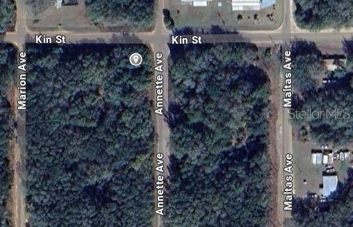 ANNETTE AVENUE, INTERLACHEN, FL — photo 2 of 5