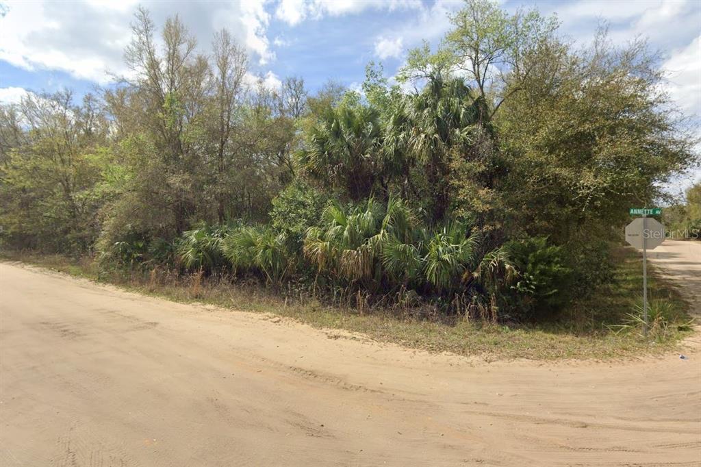ANNETTE AVENUE, INTERLACHEN, FL — photo 3 of 5