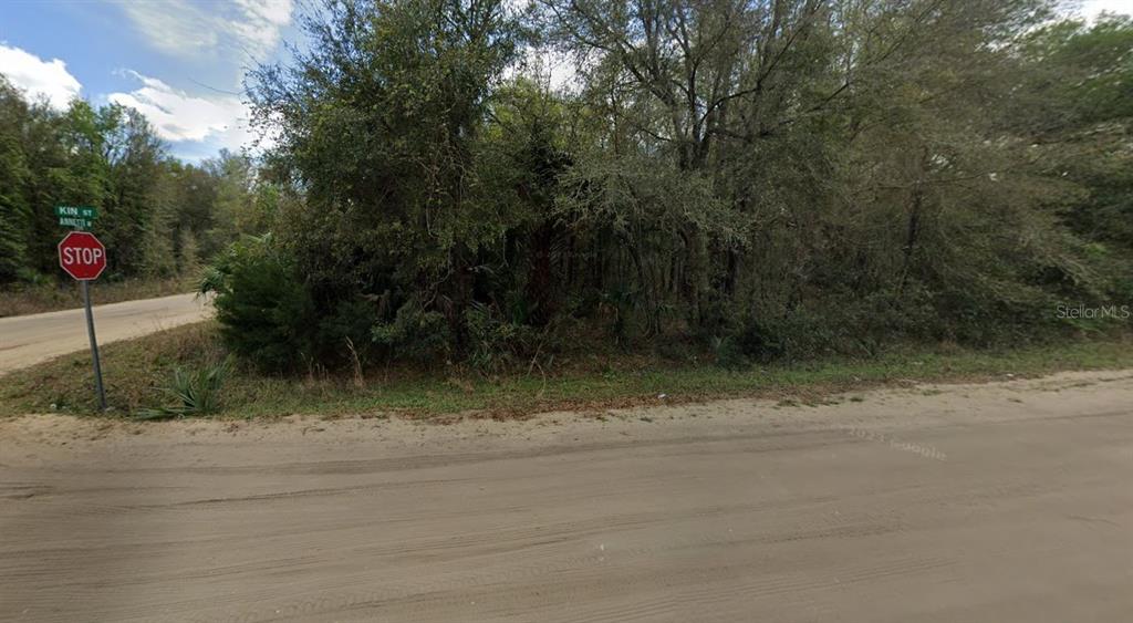 ANNETTE AVENUE, INTERLACHEN, FL — photo 4 of 5