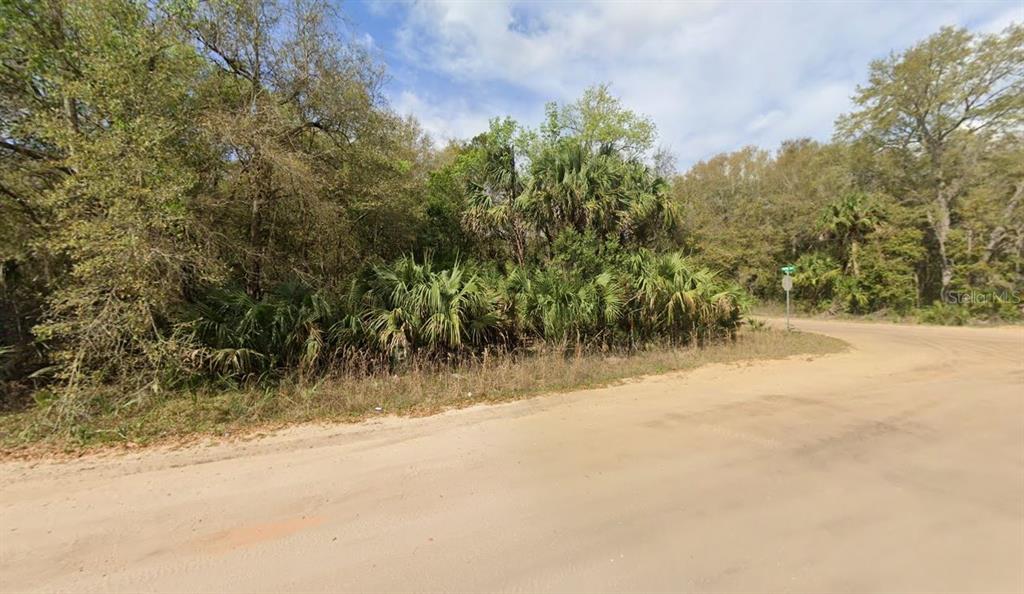 ANNETTE AVENUE, INTERLACHEN, FL — photo 5 of 5