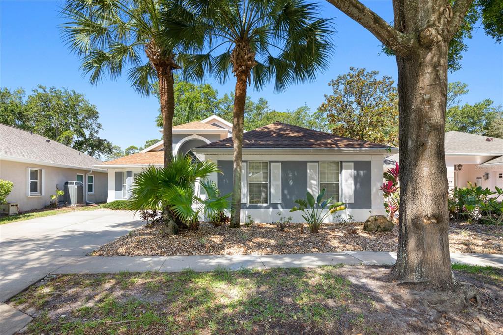 A single-story house with a gray facade, white shutters, and palm trees in the front — 15 TANGLEWOOD COURT, PALM COAST, FL