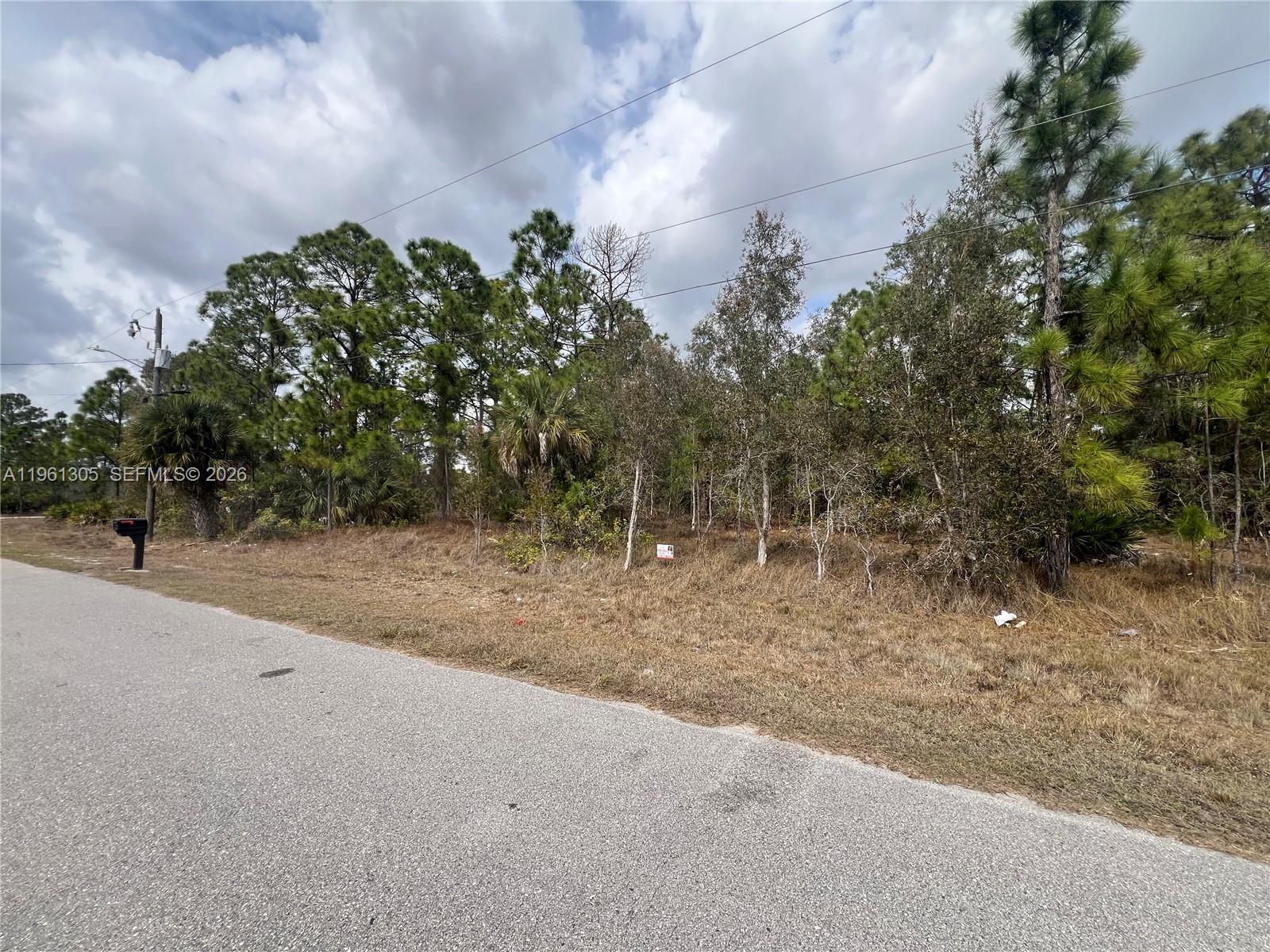 A paved road runs alongside a vacant, wooded lot with a mailbox and utility poles — 3400 Irma Ave N, Lehigh Acres FL 33971, LEHIGH ACRES, FL