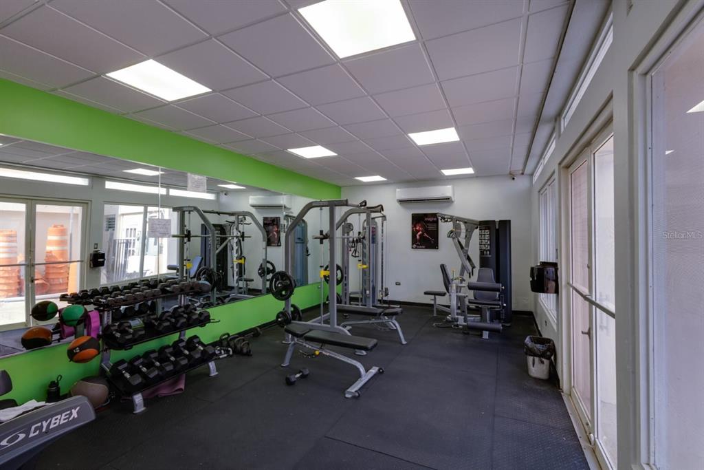 A gym features a mirrored wall, various weight machines, a dumbbell rack, and rubber flooring — 109 CALLE PLUMOSO REAL UNIT E212, GUAYNABO, PR