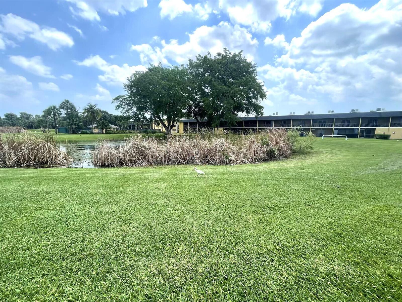 A grassy lawn leads to a pond with tall reeds and a multi-story apartment building — 1811 Meadows Circle W, Boynton Beach FL 33436, BOYNTON BEACH, FL