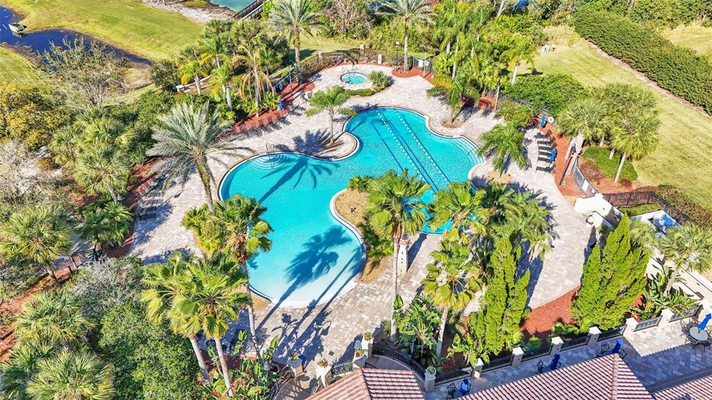 An aerial view shows a large, irregularly shaped swimming pool surrounded by palm trees — 1826 ALTAVISTA CIRCLE, LAKELAND, FL