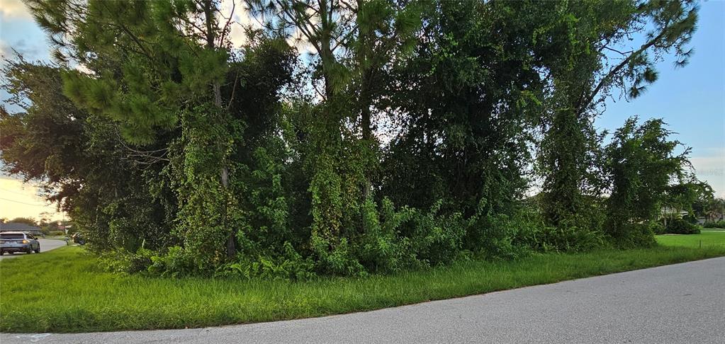 A vacant, tree-covered residential lot sits at the corner of a paved suburban street — 133 VALDIVA STREET, PUNTA GORDA, FL