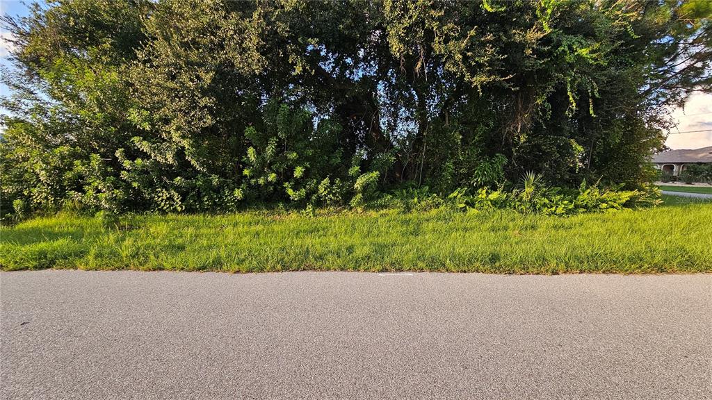 A view of a vacant, grass-covered lot densely overgrown with trees and shrubs — 133 VALDIVA STREET, PUNTA GORDA, FL