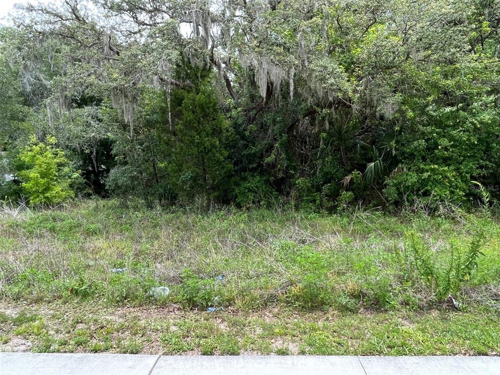 12120 HICKS ROAD, HUDSON, FL — photo 4 of 6