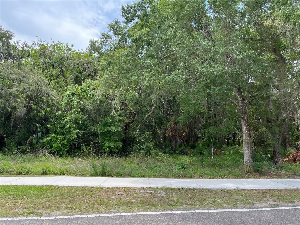 12120 HICKS ROAD, HUDSON, FL — photo 5 of 6