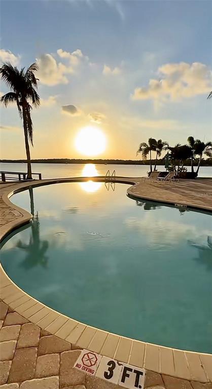 A curved swimming pool overlooks a calm body of water during a sunset — 8800 BAY PINES BOULEVARD UNIT 303, ST PETERSBURG, FL