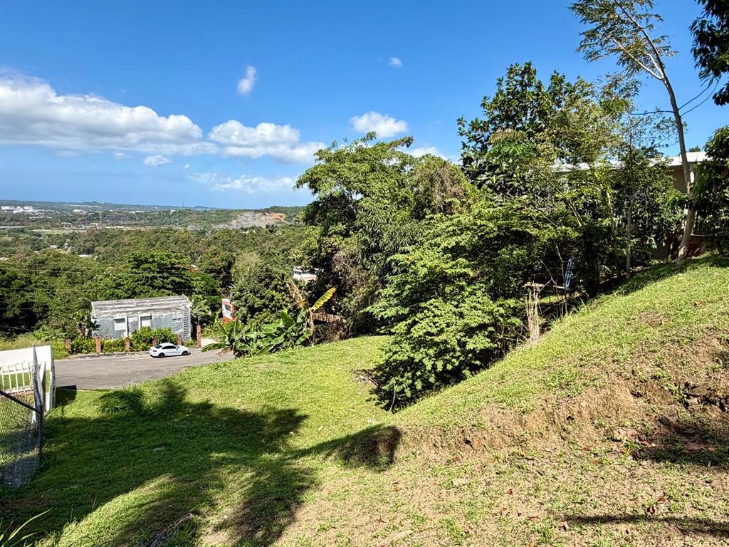 A grassy, sloped hillside overlooks a road, a small house, and a distant landscape — 3 CALLE CAGUAX, CAROLINA, PR