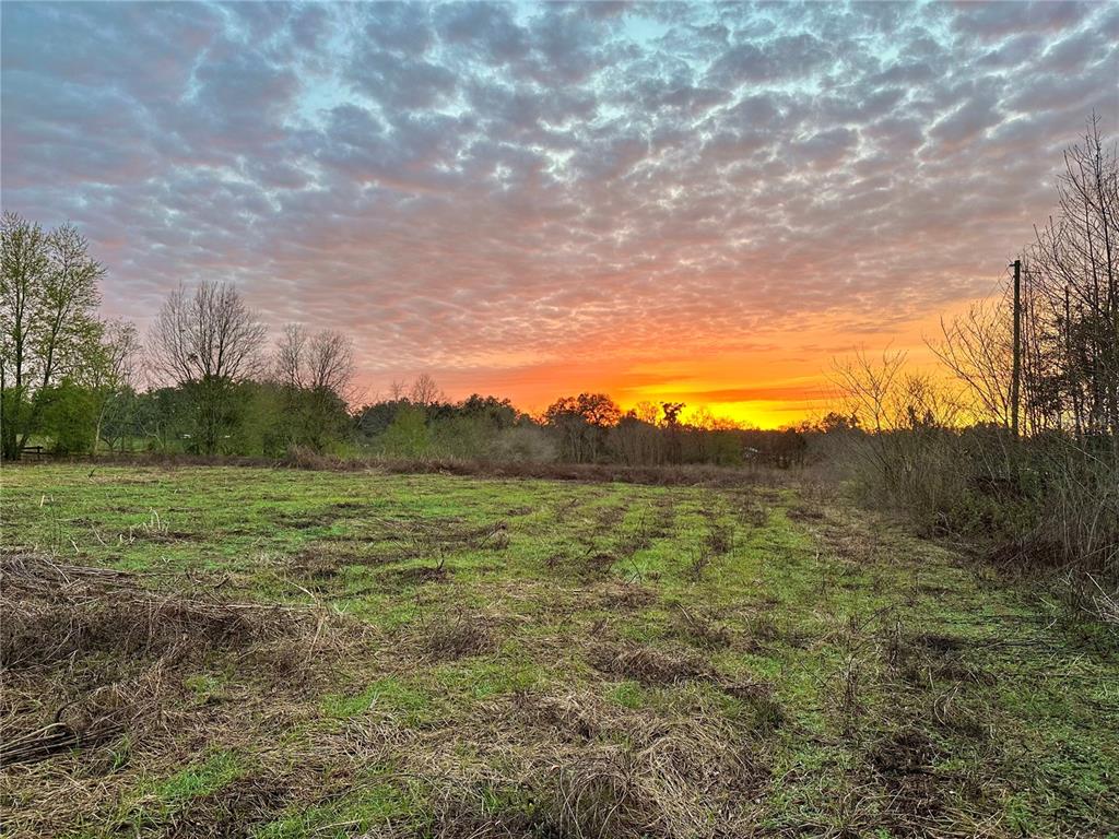 A grassy field at sunset with a line of trees against a colorful cloudy sky — 13844 NW 21ST COURT, CITRA, FL