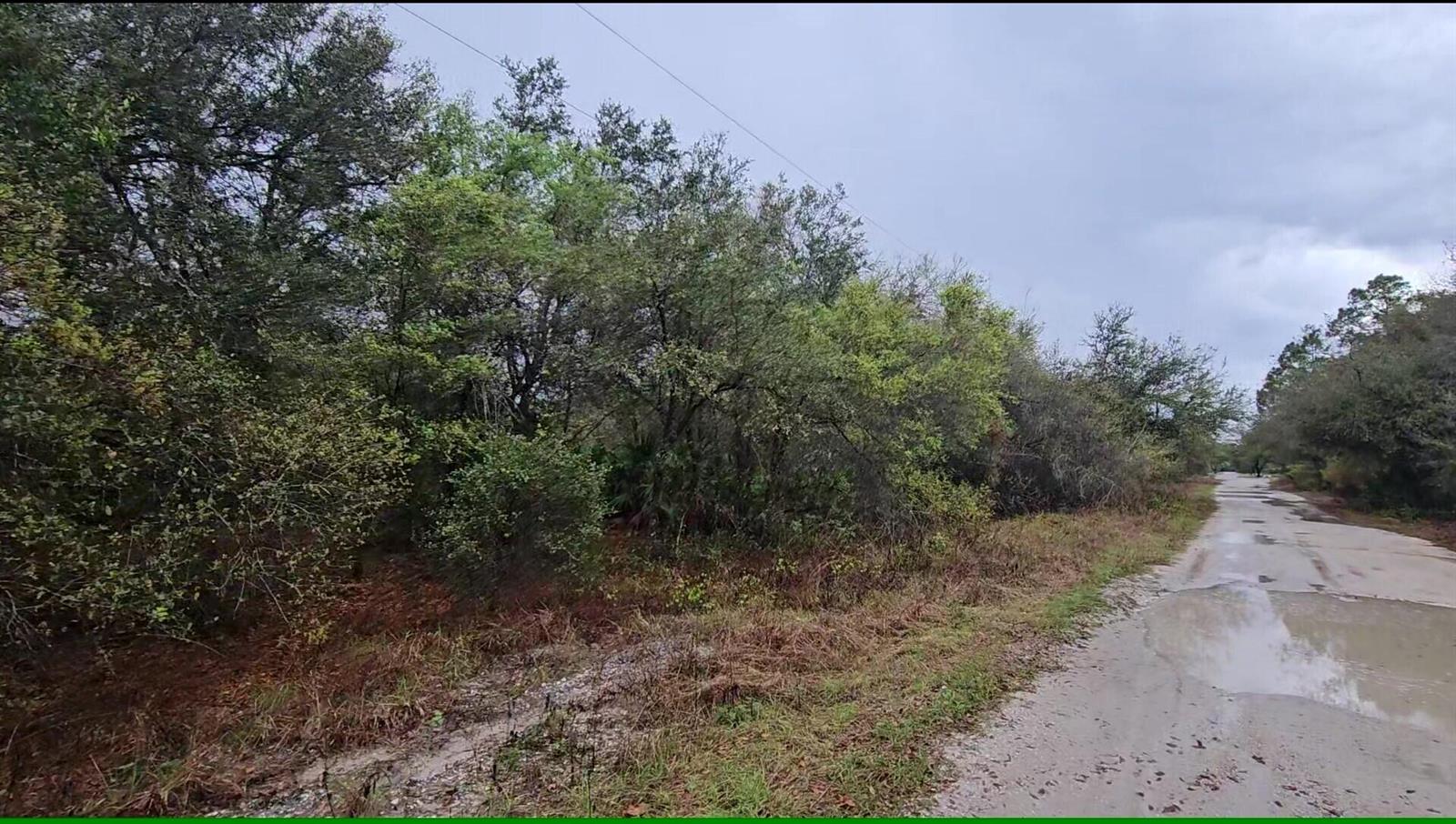 A paved road runs alongside a wooded area with dense trees and brush — 7621 21st Place, FL 33935, FL