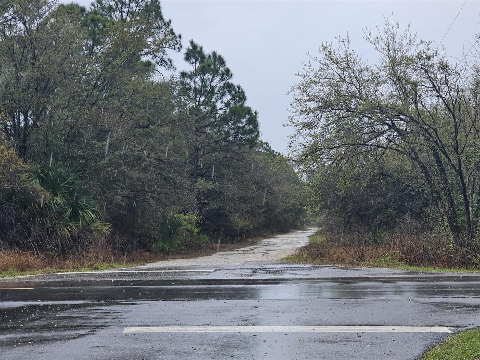 A wet paved road leads into a wooded area under a cloudy, rainy sky — 7621 21st Place, FL 33935, FL