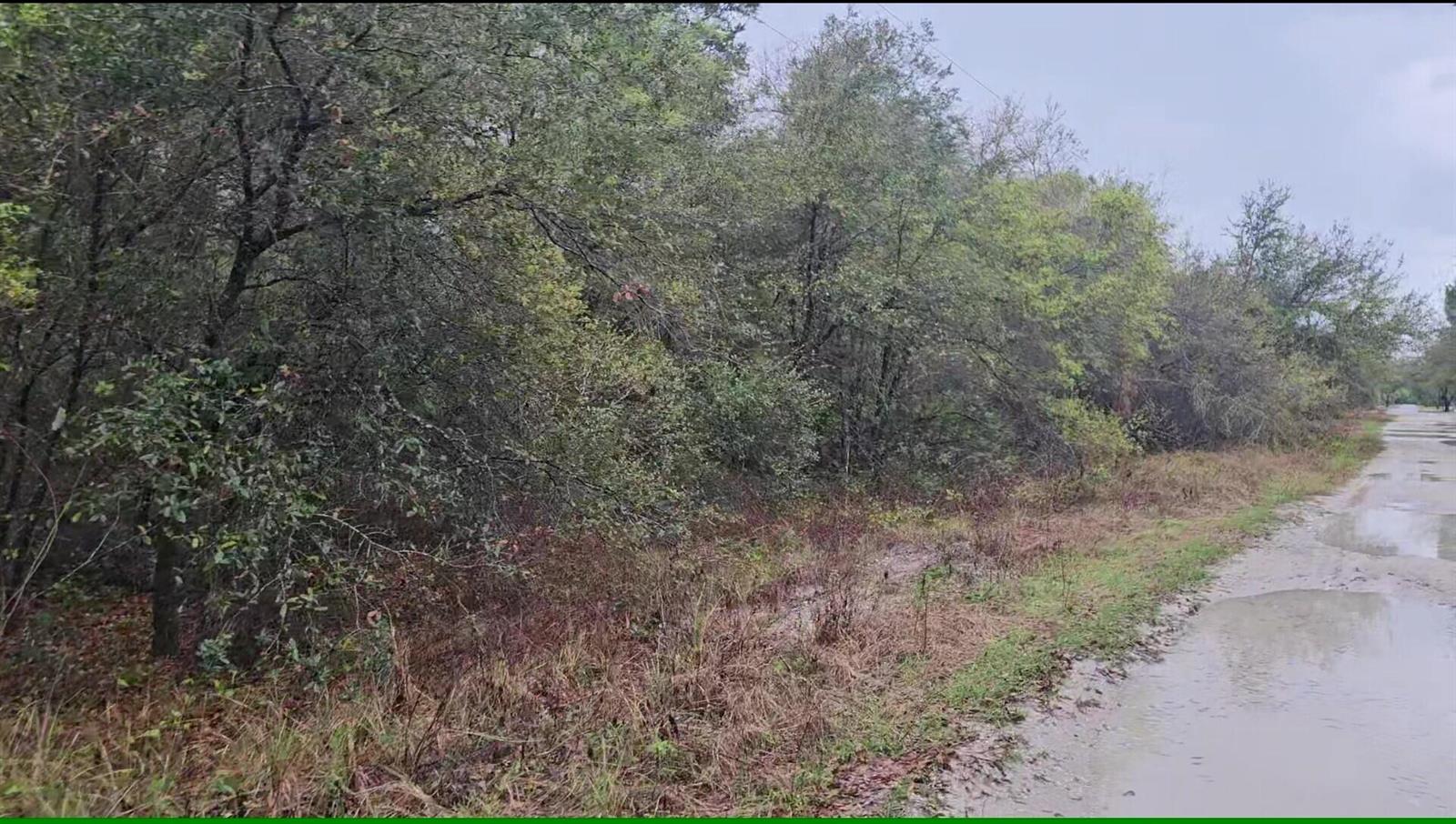 A dirt road with puddles runs alongside a dense, wooded area under an overcast sky — 7621 21st Place, FL 33935, FL