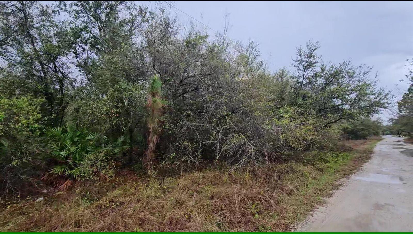A dirt road runs alongside a dense area of trees and brush — 7621 21st Place, FL 33935, FL