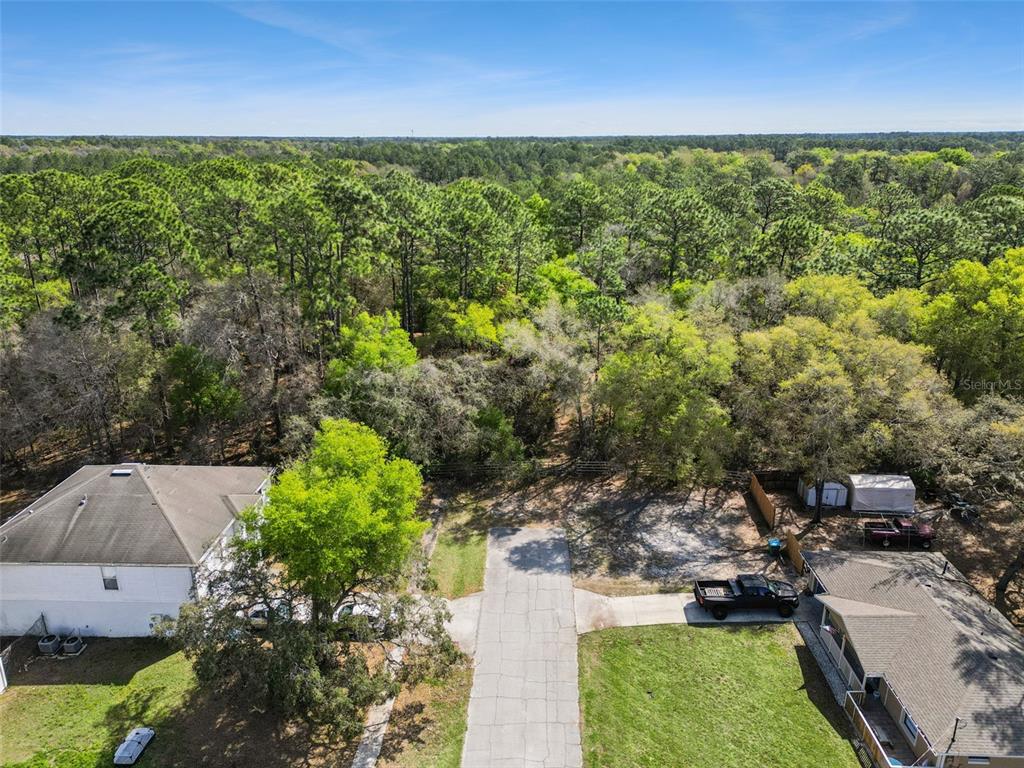 An aerial view shows a concrete driveway between two houses leading to a wooded area — 2130 MISSOULA TRAIL, DELTONA, FL
