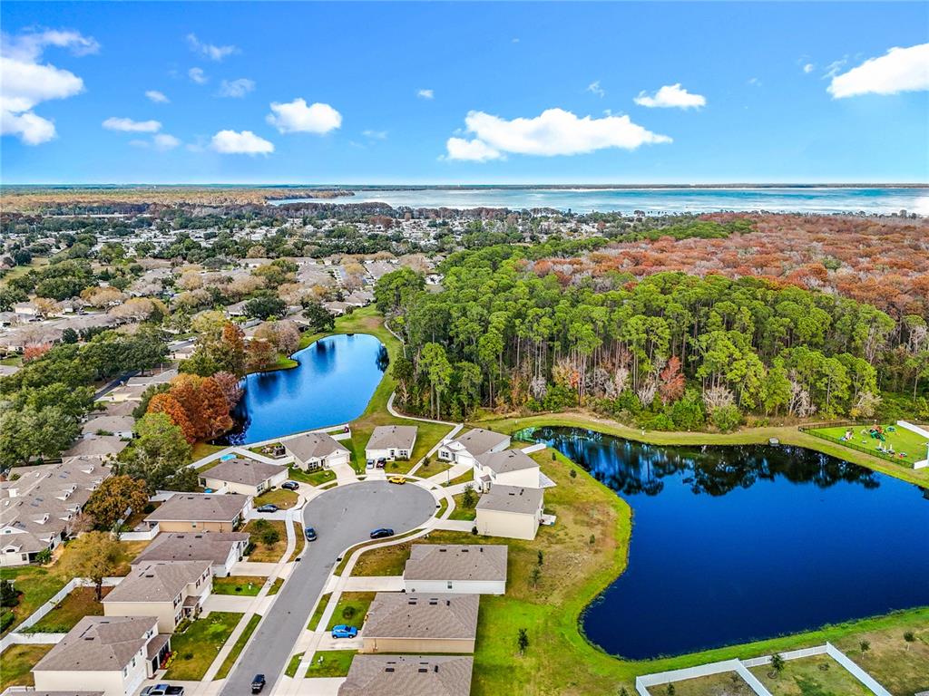 An aerial view shows a suburban neighborhood with houses surrounding two ponds and nearby woods — 2928 CANARY LANE, TAVARES, FL