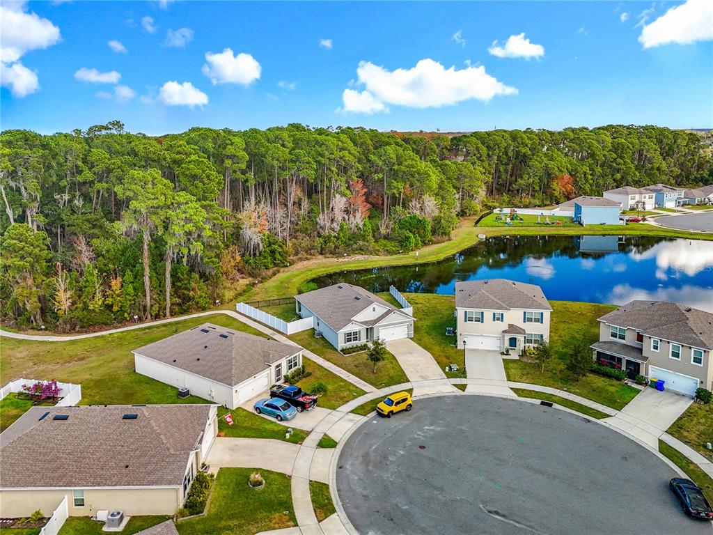 An aerial view shows suburban houses around a cul-de-sac next to a pond and woods — 2928 CANARY LANE, TAVARES, FL