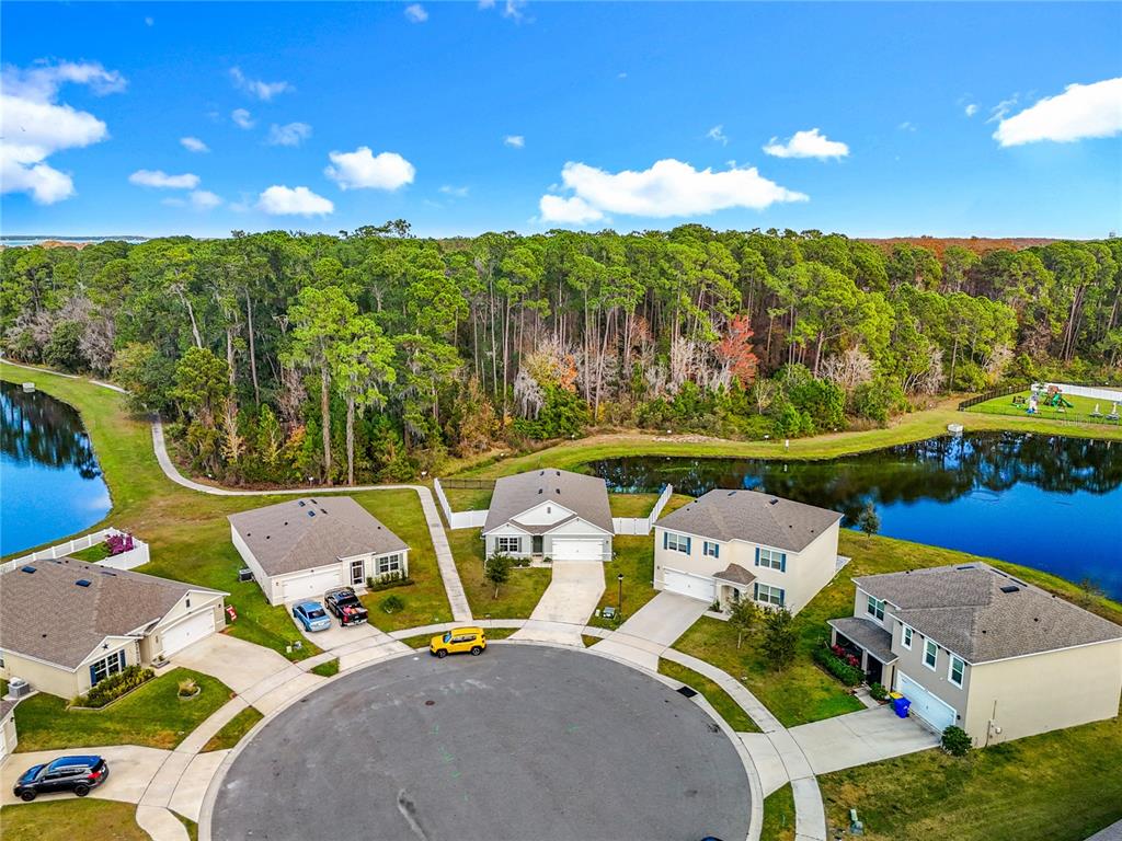 An aerial view shows several suburban houses arranged around a cul-de-sac near a pond — 2928 CANARY LANE, TAVARES, FL