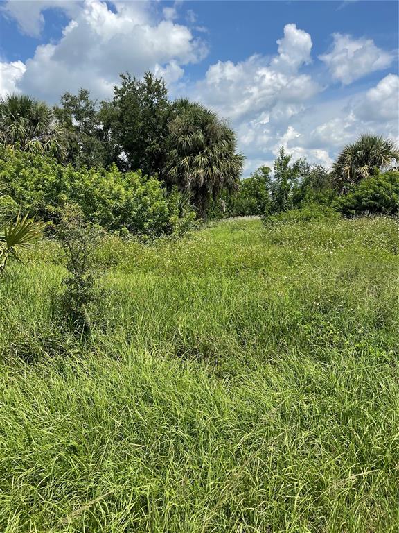 A grassy, overgrown field with scattered trees and palm trees under a cloudy blue sky — 18286 VAN NUYS CIRCLE, PORT CHARLOTTE, FL