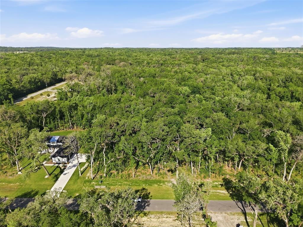 An aerial view shows a house with a driveway surrounded by a large wooded area — REPUBLICAN (LOT 2) WAY, BROOKSVILLE, FL