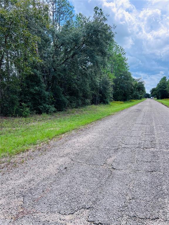 A paved road runs alongside a wooded area under a cloudy sky — 8681 N WALLINGFORD AVENUE, CITRUS SPRINGS, FL