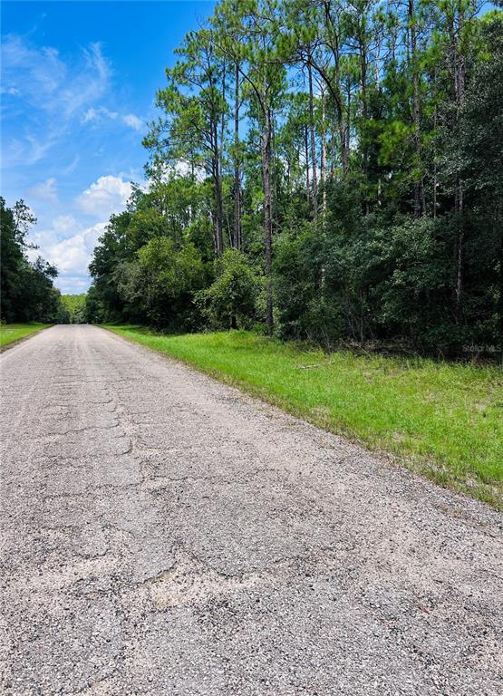 A paved road runs alongside a wooded area under a blue sky with clouds — 8681 N WALLINGFORD AVENUE, CITRUS SPRINGS, FL