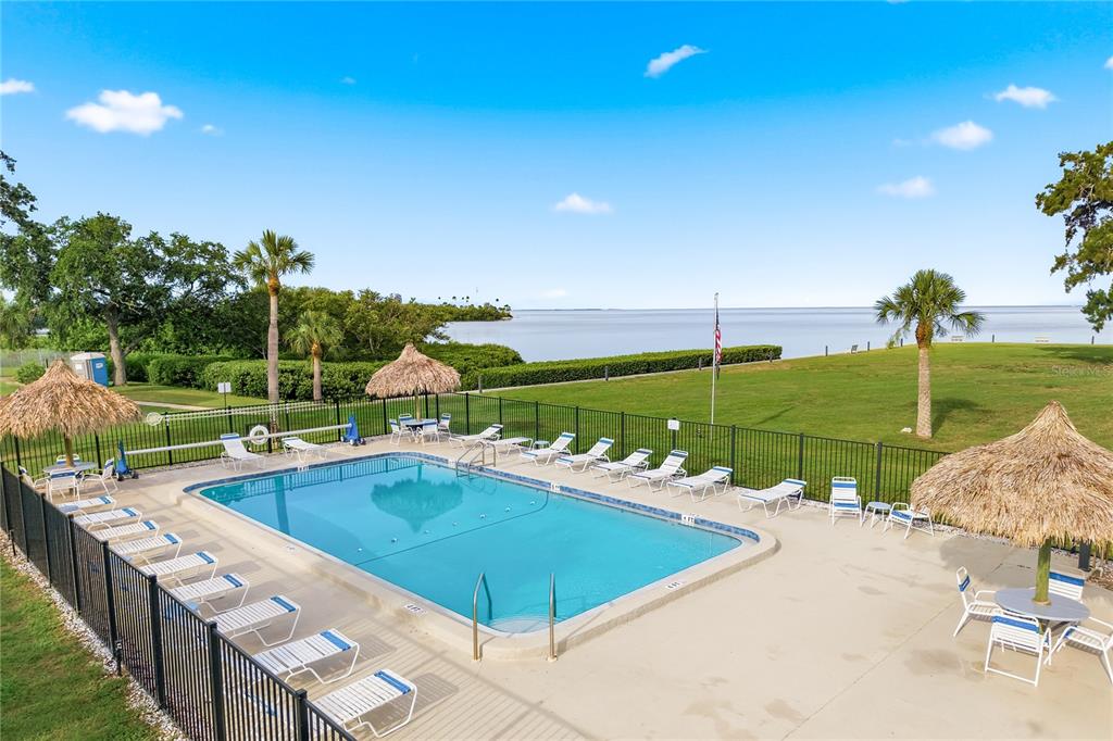 An outdoor swimming pool with lounge chairs and tiki umbrellas overlooks a large body of water — 18 WINDRUSH BAY DRIVE, TARPON SPRINGS, FL