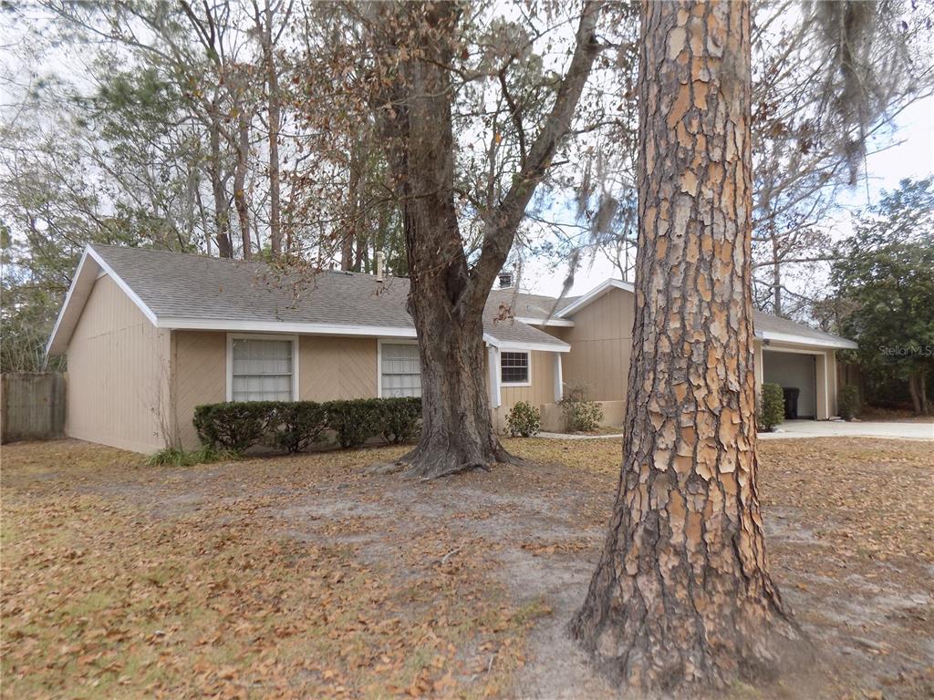 A single-story house with tan wood siding and a garage sits behind large pine trees — 4408 NW 44 PLACE NW, GAINESVILLE, FL