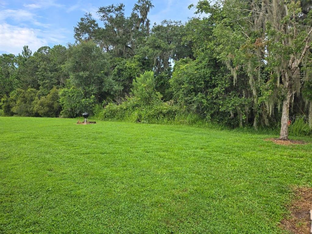 A large, mowed grassy lawn borders a dense line of trees and vegetation — 2633 WALDEN WOODS DRIVE, PLANT CITY, FL