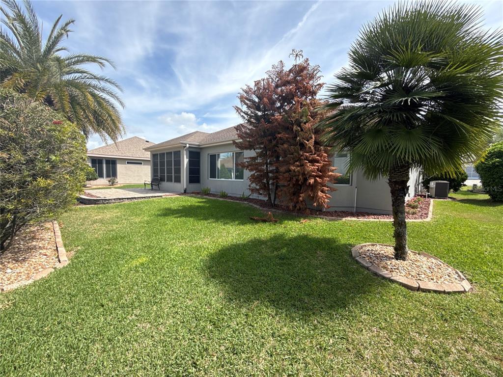 A backyard view of a house with a patio, lawn, and several palm trees — 9484 SE 124TH LOOP, SUMMERFIELD, FL