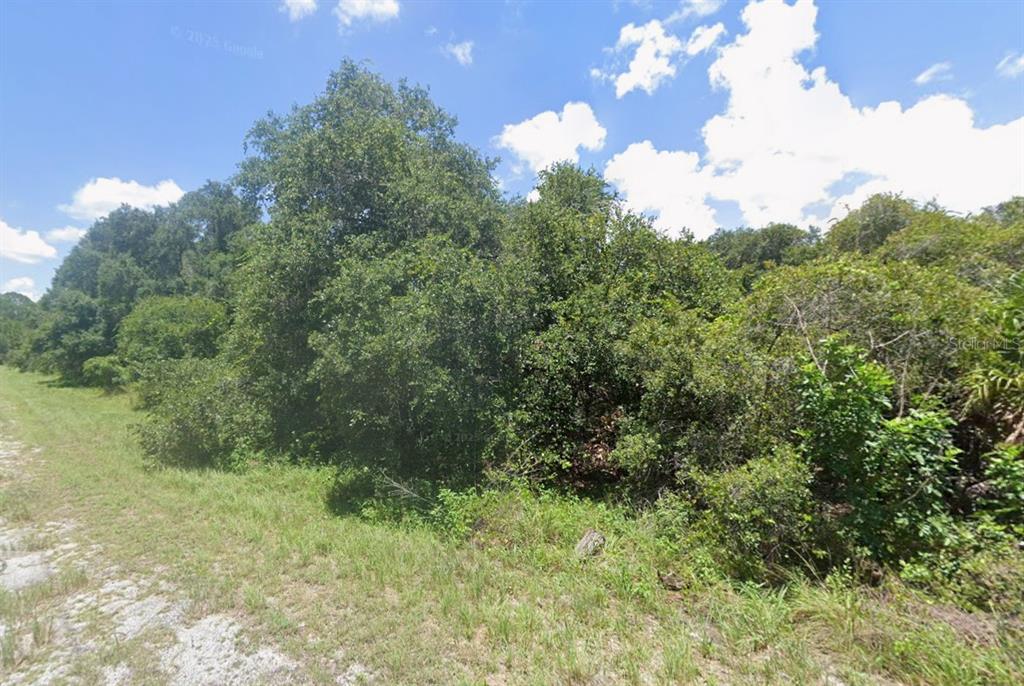 A view of a grassy area bordering a dense line of trees and shrubs — Lot 13 BANGAR LANE, NORTH PORT, FL
