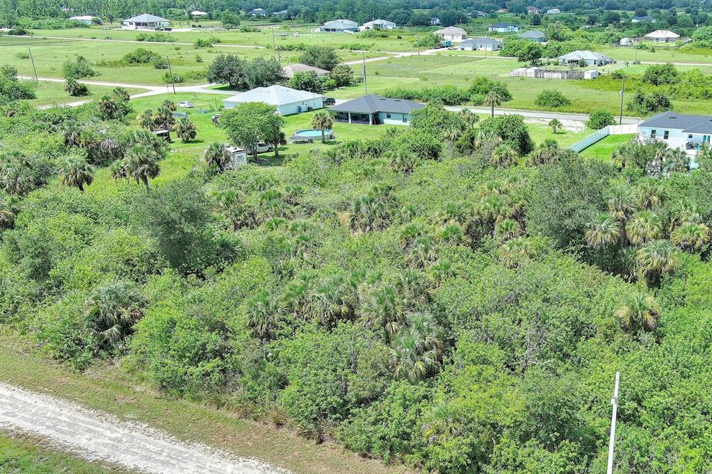 An aerial view shows a dense, wooded lot next to a residential street and houses — 1507 HINES AVENUE, LEHIGH ACRES, FL