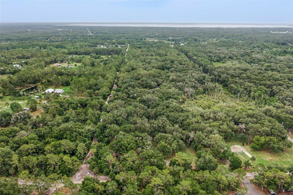 An aerial view shows a dense forest landscape with scattered houses and a distant horizon — 1301 ARAPAHO TRAIL, GENEVA, FL
