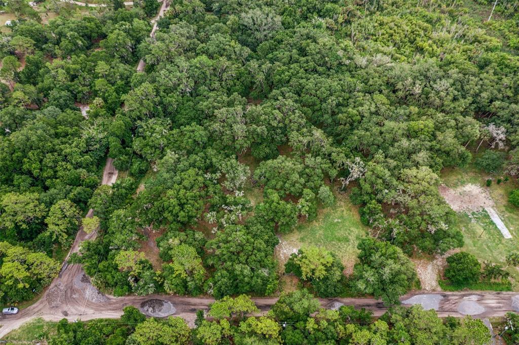 An aerial view shows a wooded lot with a dirt road running along the front — 1301 ARAPAHO TRAIL, GENEVA, FL
