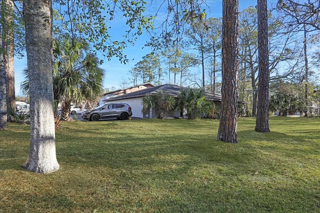 A gray SUV is parked in front of a single-story building surrounded by pine trees — 2300 NW 71ST PLACE, GAINESVILLE, FL