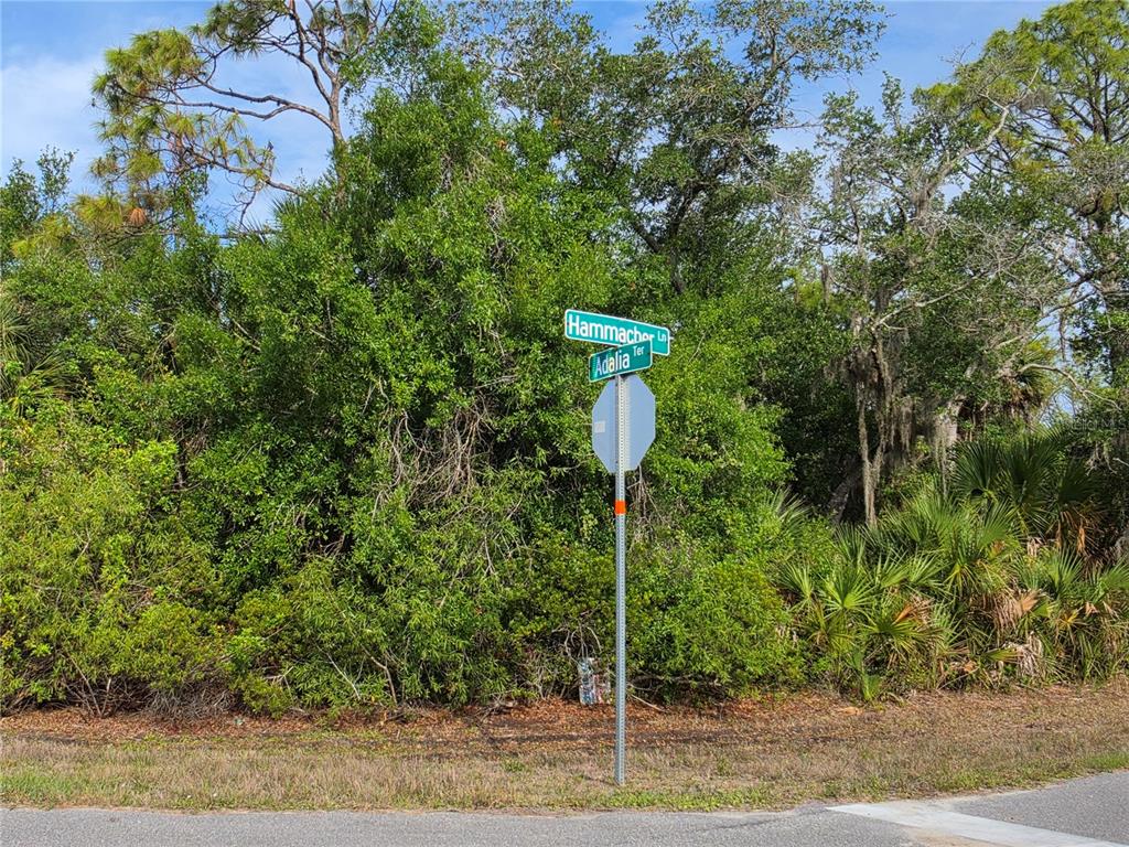 A street sign at the intersection of Hammacher Lane and Adalia Terrace stands before dense foliage — 1193 HAMMACHER LANE, PORT CHARLOTTE, FL
