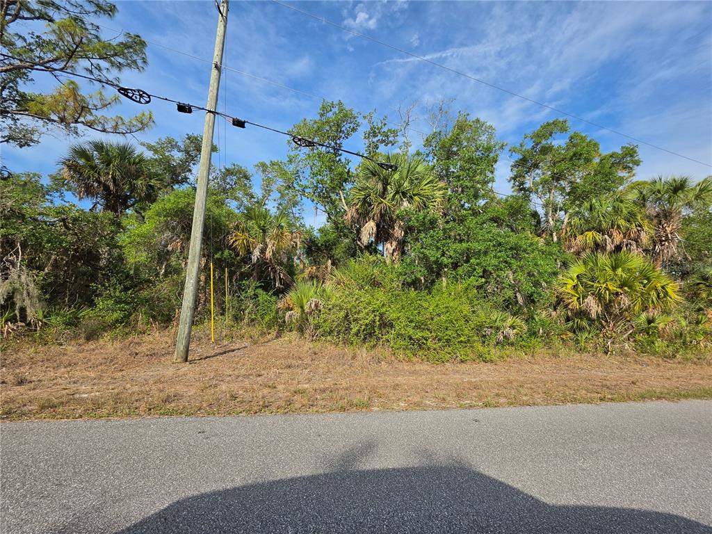 A vacant, wooded residential lot sits behind a paved road and a utility pole — 1193 HAMMACHER LANE, PORT CHARLOTTE, FL