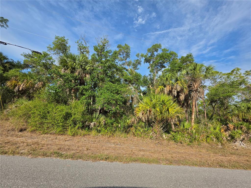 A view of a wooded, undeveloped lot with palm trees along a paved road — 1193 HAMMACHER LANE, PORT CHARLOTTE, FL