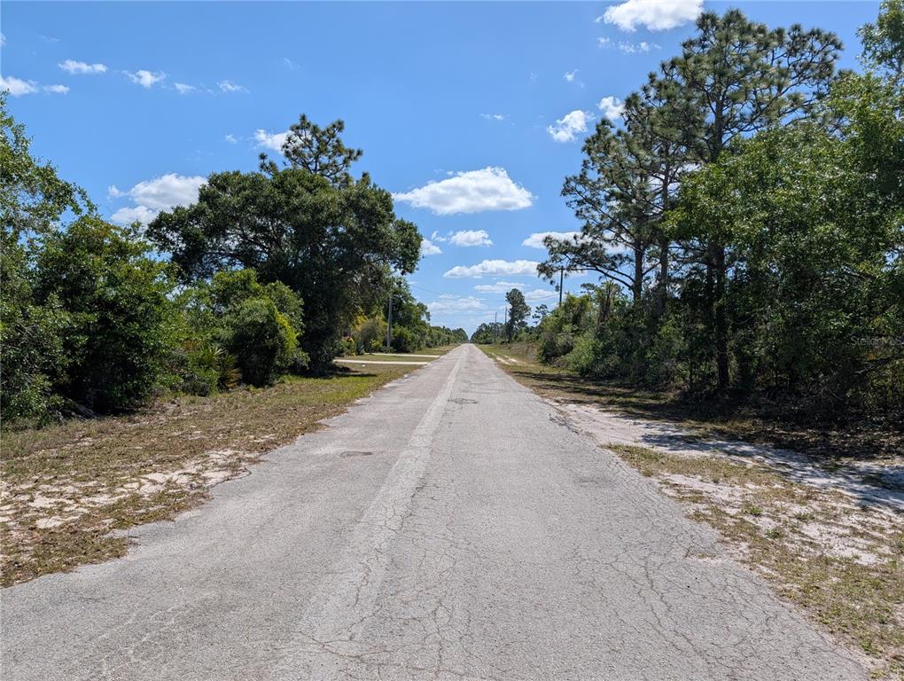 A paved road stretches into the distance, flanked by trees and sandy ground — 816 BOUGAINVILLE DRIVE, INDIAN LAKE ESTATES, FL